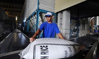 Cơ hội xuất khẩu gạo năm nay vẫn rất lớn, các doanh nghiệp cần đảm bảo đúng tiến độ hợp đồng