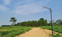 Hàng nghìn m2 đất trồng cây hàng năm khác được chuyển đổi không đúng nhu cầu tại làng Lâm Lang 2 để “cò đất” phân lô, bán nền trái pháp luật