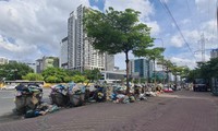 Rác ngập đường phố Hà Nội do quá tải bãi rác Nam Sơn 