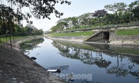 Nước thải khiến sông Tô Lịch thành dòng sông chết 