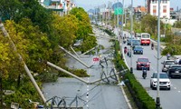 Tái thiết sau bão Yagi - Kỳ I: Quảng Ninh tan hoang