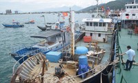 Con tàu vỏ thép trị giá 12 tỷ đồng của ngư dân Phan Thu nay đành nằm bờ do hoạt động không hiệu quả