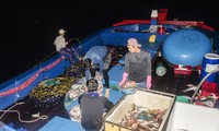Một phiên đánh cá đêm của ngư dân xóm Ghành Cả tại đảo Xà Cừ, quần đảo Hoàng Sa. Ảnh: Văn Chương