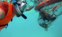 Anh Cao Mạnh Tuấn lặn biển vớt rác cứu các rặng san hô. (Ảnh chụp từ clip)