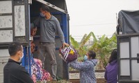Nông sản của Hải Dương chuyển xe vận tải trước trạm kiểm soát COVID-19 của TP Hải Phòng. Ảnh: Nguyễn Hoàn