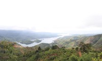 Vụ mất hơn 2.000 ha rừng ở Đắk Nông: Chỉ kiểm điểm, rút kinh nghiệm