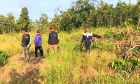 Khởi tố kẻ chủ mưu cùng nhóm phá 20.000m2 rừng ở Đắk Lắk