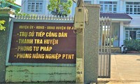 Trộm cây hoa giấy, Trưởng phòng Tư pháp ở Đắk Nông bị kỷ luật