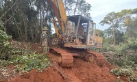 Ngang nhiên đưa máy múc vào phá rừng sản xuất ở Đắk Nông
