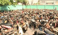 Đấu giá gần 1.000 xe máy vi phạm ở TPHCM với giá khởi điểm bình quân 500.000 đồng/xe