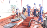 Cảnh sát biển bắt giữ tàu vận chuyển 45.000 lít dầu D.O trái phép
