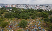 TPHCM muốn chi gần 1.500 tỷ đồng xây trường, công viên ở nghĩa trang Bình Hưng Hòa