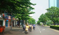 TPHCM cấm xe vào đường Nguyễn Huệ liên tục trong 3 ngày 