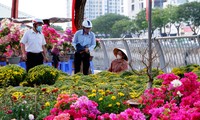 Thuyền hoa, cây cảnh cập bến Bình Đông phục vụ người dân TPHCM chơi Tết