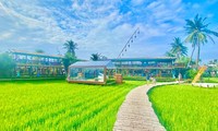 &apos;Cởi trói&apos; cho loại hình đất nông nghiệp kết hợp homestay, farmstay