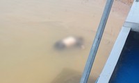 Phát hiện thi thể người đàn ông dưới lòng hồ thủy điện Ya Ly