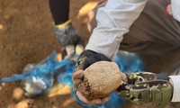 Khai quật khảo cổ ở Đắk Nông, phát lộ nhiều dấu tích người tiền sử