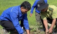 Kon Tum trồng hàng trăm nghìn cây xanh nhân dịp Tết trồng cây