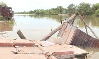 Sạt lở đất nghiêm trọng ở Bạc Liêu, gần 100 nhà dân bị ảnh hưởng 