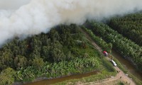 Cà Mau: Cháy khoảng 40ha rừng của Nông trường 402 - Quân khu 9