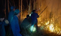Fighting forest fires through the night in Ca Mau