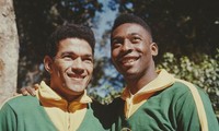 Lịch sử World Cup 1962: Người thay thế ‘Vua bóng đá’ giữ ngai vàng