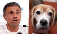 HLV Luis Enrique khiến người Tây Ban Nha tức điên vì muốn về nhà gặp… chó