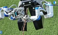 Xem robot leo dây sửa đường điện cao thế ở Trung Quốc