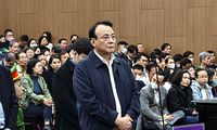 Chủ tịch Tập đoàn Tân Hoàng Minh kháng cáo xin giảm nhẹ hình phạt