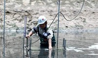 Chuyên gia Nhật Bản lội sông Tô Lịch ngửi mùi nước sau xử lý