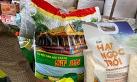 Việc gạo ST 25 bị DN nước ngoài đăng ký bảo hộ thương hiệu gióng lên một hồi chuông cảnh báo cho tất cả các DN Việt