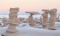 Những tác phẩm điêu khắc bằng cát của thiên nhiên 