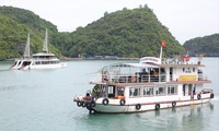 Tàu chở du khách tham quan vịnh Lan Hạ trên quần đảo Cát Bà, Hải Phòng
