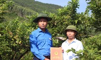 Anh Nguyễn Văn Thức (bên trái), Bí thư Ðoàn xã Bảo Ðài trở thành “bà đỡ” tiêu thụ nông sản cho hàng chục nông dân và thanh niên địa phương