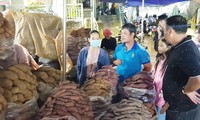 Khách hàng kiểm tra nguồn gốc khoai lang bán tại chợ Đà Lạt. Ảnh: Vân Sơn