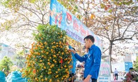ĐVTN xã Mộ Đạo bán đào, hoa, cây cảnh gây quỹ hỗ trợ người nghèo dịp Tết. Ảnh: N.T