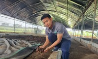 Nguyễn Thành Luân giới thiệu sản phẩm giun quế
