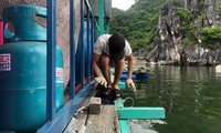 Ngư dân gia cố lồng bè nuôi trồng thủy hải sản