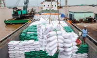 Doanh nghiệp Việt phá giá, giành đơn xuất khẩu gạo? 