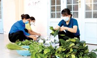 ĐVTN đóng gói “Túi thuốc xông thảo dược” Ảnh: Kim Hà 