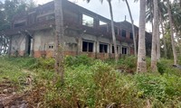 Dự án du lịch sinh thái sở hữu gần 90.000 m2 đất “vàng” xã đảo Tam Hải nay bị bỏ hoang nhếch nhácẢnh: Hoài Văn 