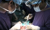 Bác sĩ Bệnh viện Việt Đức ghép tạng 