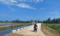Các công trình dân sinh tại Hậu Lộc, Thanh Hóa 