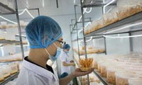 Cơ sở sản xuất đông trùng hạ thảo của anh Nguyễn Đăng Việt ở phường Khắc Niệm, thành phố Bắc Ninh 