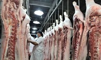 Trong khi xuất khẩu nhỏ giọt, Việt Nam chi tới hơn 2 tỷ USD để nhập khẩu thịt, các sản phẩm thịt trong 7 tháng qua 