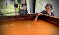 Bể nước vàng đục được hút từ giếng lên nhưng bà Hồ Thị Bình vẫn phải sử dụng làm nước sinh hoạt