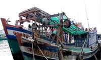 Một vụ đâm va gây hư hỏng tàu cá trên vùng biển Tây (tỉnh Cà Mau)