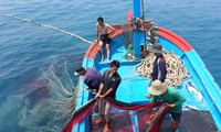 Ngành thủy sản Việt Nam chỉ còn 2 tháng để gỡ “thẻ vàng” Ảnh: internet 