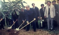 Nguyên Tổng Bí thư Đỗ Mười trồng cây đa lưu niệm tại trụ sở UBND xã Đông Mỹ, huyện Thanh Trì, Hà Nội (năm 1996) Ảnh: TTXVN 