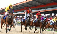 Ðua ngựa tại Trường đua Ðại Nam Ảnh: Truongduadainam.vn